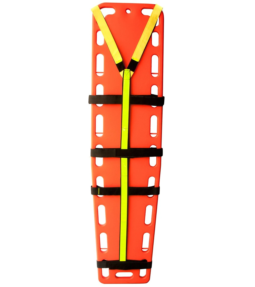 10 Point Straps W/Case