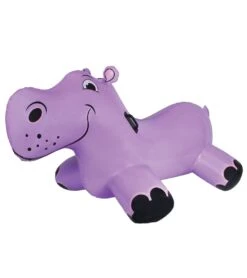 Happy Hippo Rider