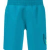 Nike Boys' Pool Party Swim Trunks (Little Kid)